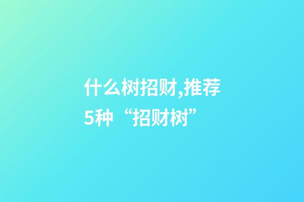 什么树招财,推荐5种“招财树”-第1张-观点-玄机派