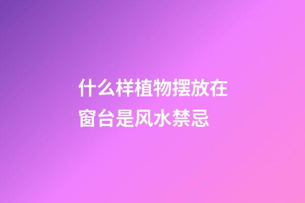 什么样植物摆放在窗台是风水禁忌