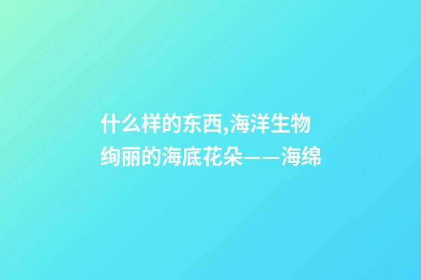 什么样的东西,海洋生物绚丽的海底花朵——海绵-第1张-观点-玄机派