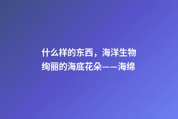 什么样的东西，海洋生物绚丽的海底花朵——海绵-第1张-观点-玄机派