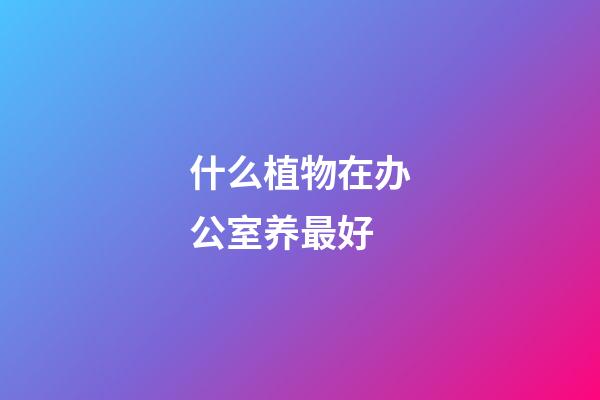 什么植物在办公室养最好