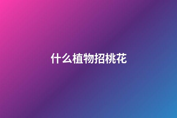 什么植物招桃花