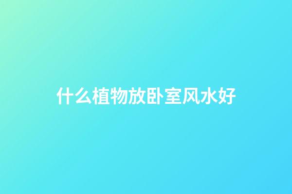 什么植物放卧室风水好