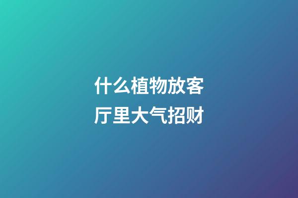 什么植物放客厅里大气招财