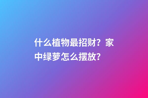 什么植物最招财？家中绿萝怎么摆放？