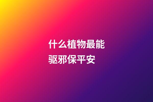 什么植物最能驱邪保平安