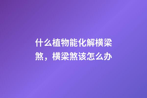 什么植物能化解横梁煞，横梁煞该怎么办