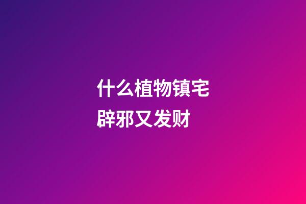 什么植物镇宅辟邪又发财