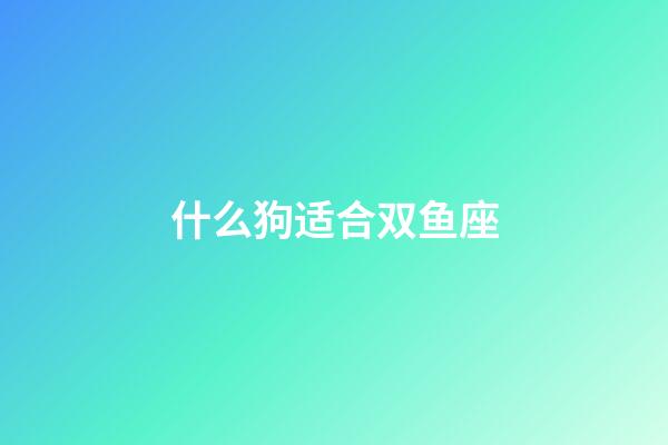 什么狗适合双鱼座