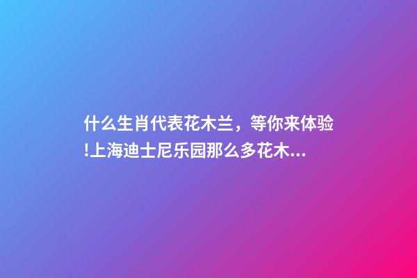 什么生肖代表花木兰，等你来体验!上海迪士尼乐园那么多花木兰主题你找到了么