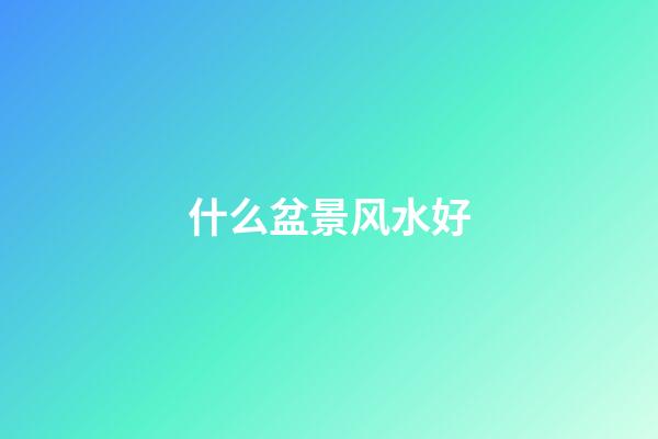 什么盆景风水好