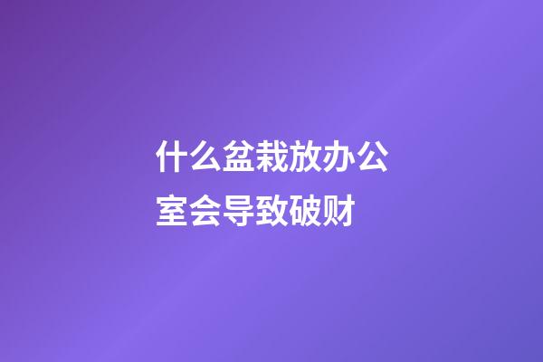 什么盆栽放办公室会导致破财