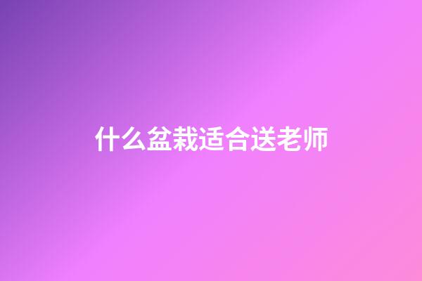 什么盆栽适合送老师