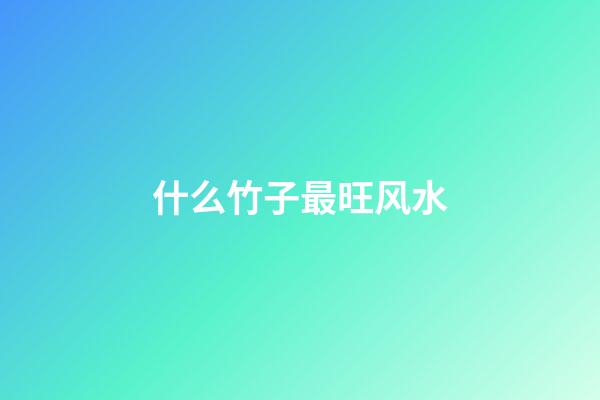 什么竹子最旺风水