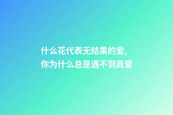 什么花代表无结果的爱,你为什么总是遇不到真爱-第1张-观点-玄机派