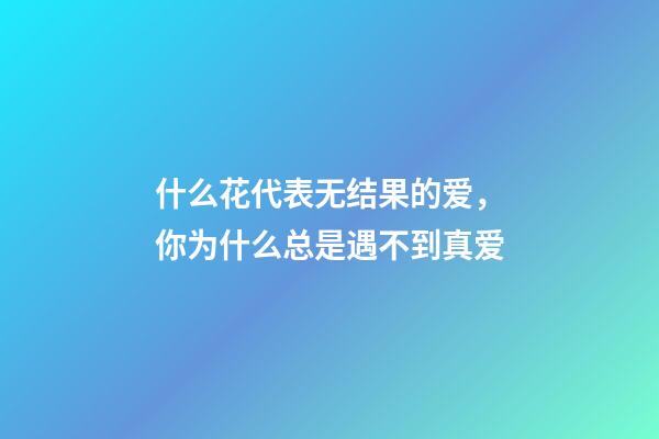 什么花代表无结果的爱，你为什么总是遇不到真爱-第1张-观点-玄机派