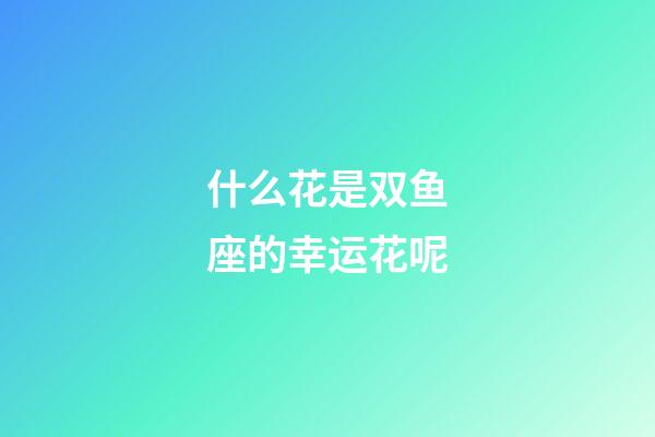 什么花是双鱼座的幸运花呢-第1张-星座运势-玄机派