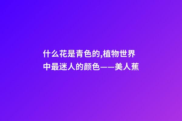 什么花是青色的,植物世界中最迷人的颜色——美人蕉-第1张-观点-玄机派