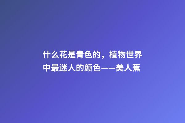 什么花是青色的，植物世界中最迷人的颜色——美人蕉-第1张-观点-玄机派