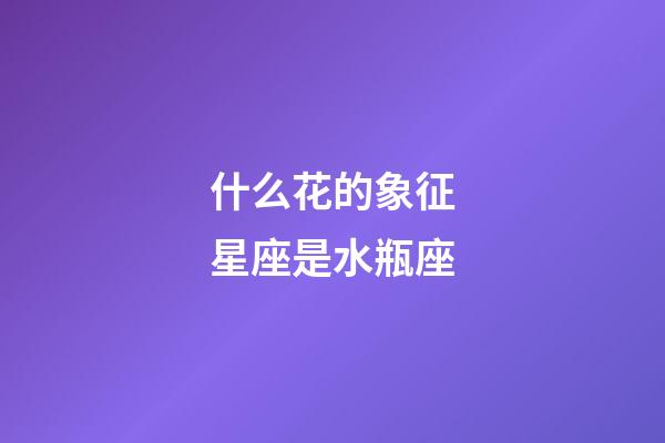什么花的象征星座是水瓶座