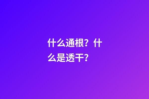 什么通根？什么是透干？