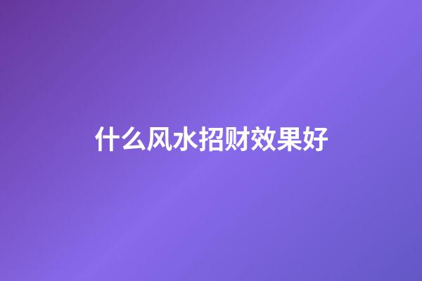 什么风水招财效果好