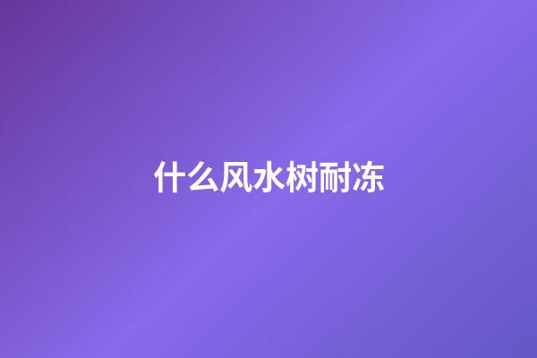 什么风水树耐冻