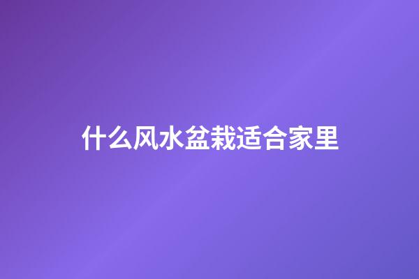 什么风水盆栽适合家里