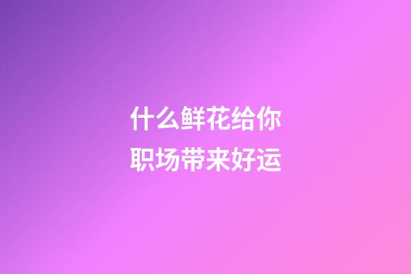 什么鲜花给你职场带来好运