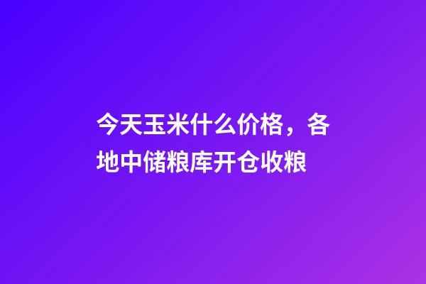 今天玉米什么价格，各地中储粮库开仓收粮-第1张-观点-玄机派