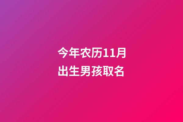 今年农历11月出生男孩取名(今年农历11月出生男孩取名大全)-第1张-男孩起名-玄机派
