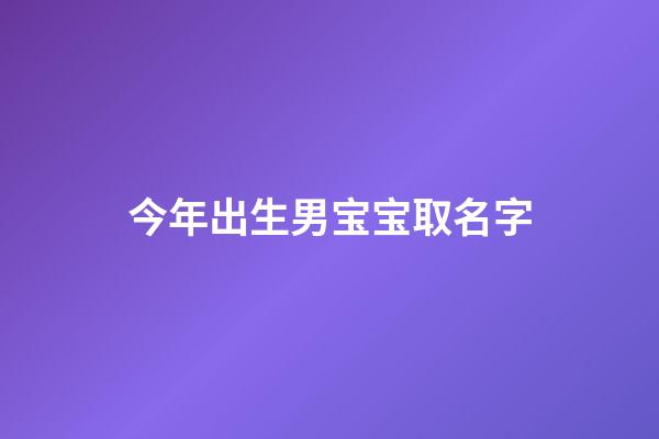 今年出生男宝宝取名字(今年出生男孩的名字)-第1张-男孩起名-玄机派