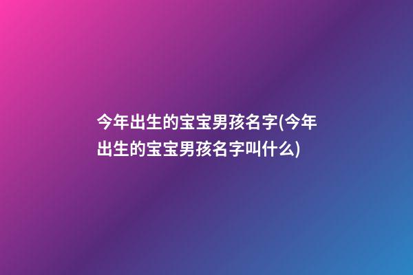 今年出生的宝宝男孩名字(今年出生的宝宝男孩名字叫什么)