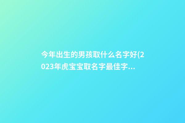 今年出生的男孩取什么名字好(2023年虎宝宝取名字最佳字)
