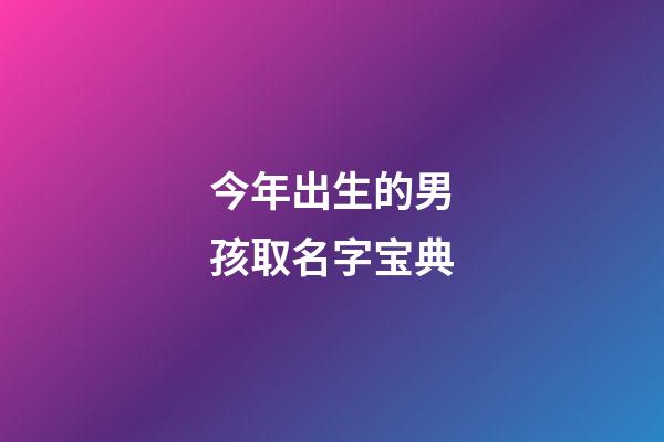 今年出生的男孩取名字宝典(今年出生的男孩应该取什么名字很吉祥)-第1张-男孩起名-玄机派