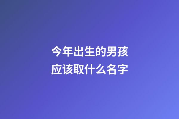 今年出生的男孩应该取什么名字(4000个好听的男孩名字)-第1张-男孩起名-玄机派