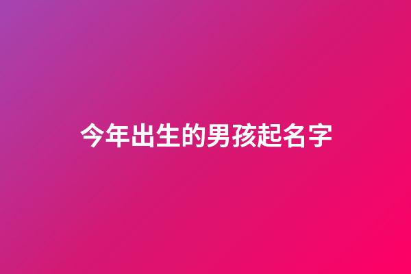 今年出生的男孩起名字(今年生的男宝宝名字)-第1张-男孩起名-玄机派