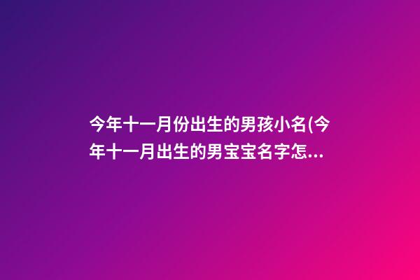 今年十一月份出生的男孩小名(今年十一月出生的男宝宝名字怎么起)