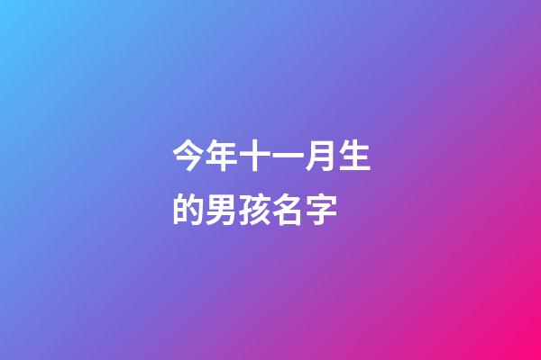 今年十一月生的男孩名字(今年十一月生的男孩名字叫什么)-第1张-男孩起名-玄机派