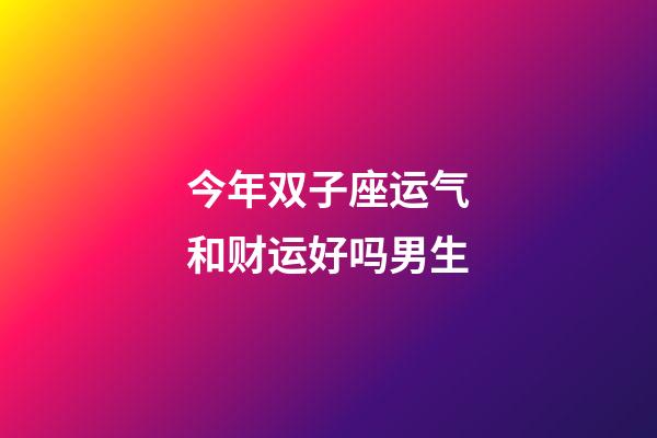 今年双子座运气和财运好吗男生-第1张-星座运势-玄机派