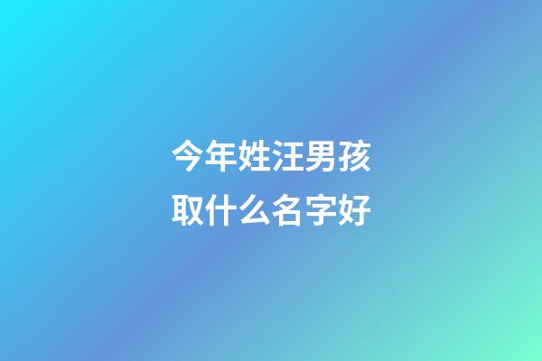 今年姓汪男孩取什么名字好(2023年姓汪男宝名)-第1张-男孩起名-玄机派