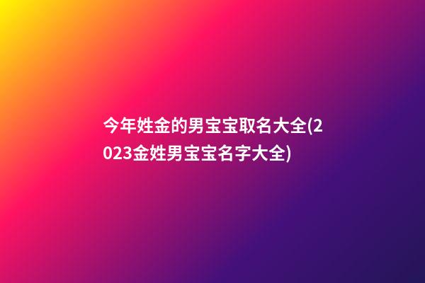 今年姓金的男宝宝取名大全(2023金姓男宝宝名字大全)