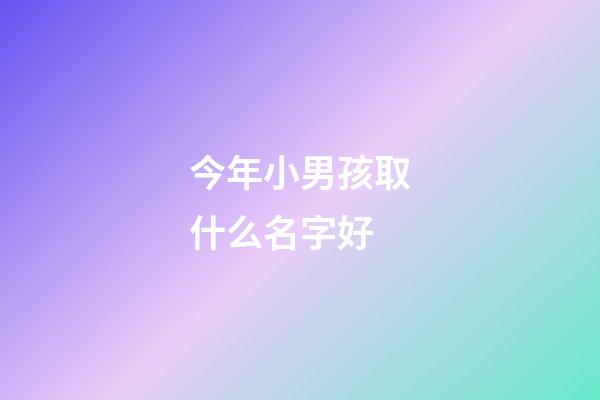 今年小男孩取什么名字好(今年男孩子起什么名字好)-第1张-男孩起名-玄机派