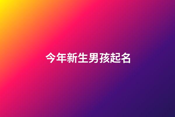 今年新生男孩起名(今年新生男儿取名字好)-第1张-男孩起名-玄机派