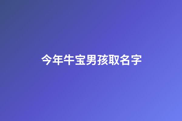 今年牛宝男孩取名字(今年牛宝宝男孩名字)-第1张-男孩起名-玄机派