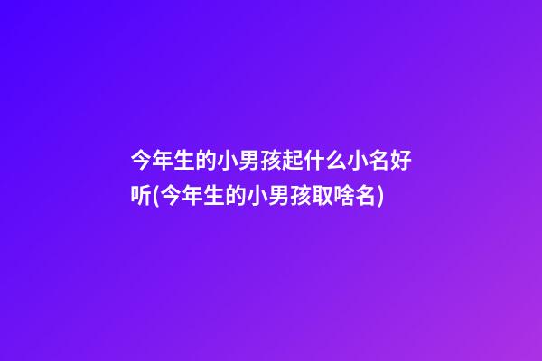 今年生的小男孩起什么小名好听(今年生的小男孩取啥名)
