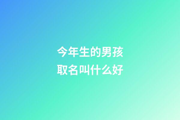 今年生的男孩取名叫什么好(今年生的男孩起名叫什么好)-第1张-男孩起名-玄机派