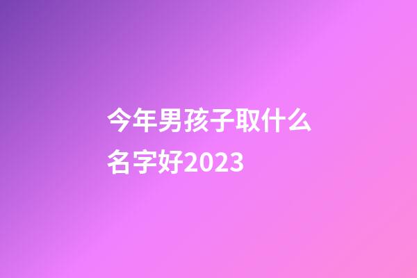 今年男孩子取什么名字好2023