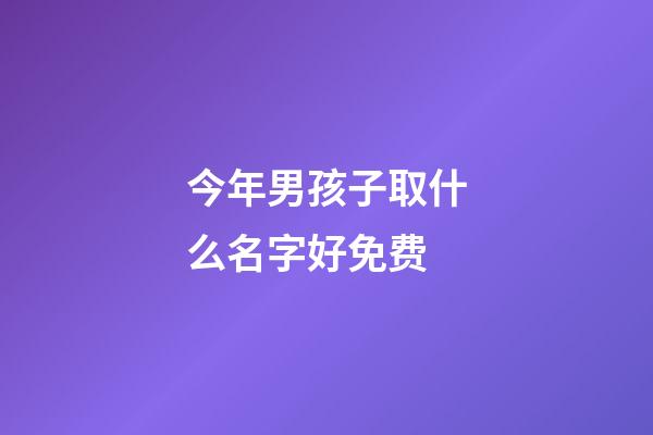 今年男孩子取什么名字好免费(今年男孩取什么名字好免费的)-第1张-男孩起名-玄机派