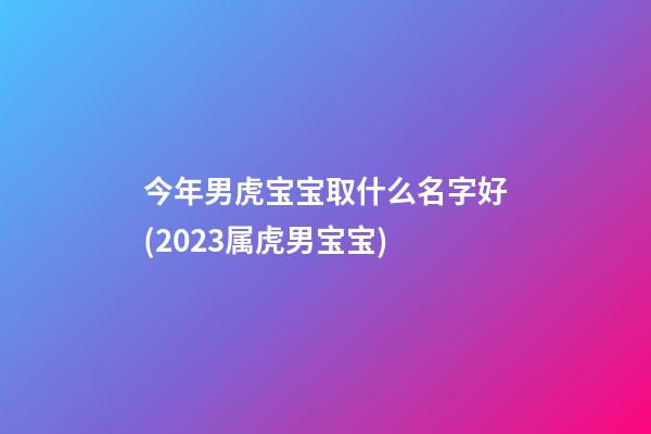 今年男虎宝宝取什么名字好(2023属虎男宝宝)